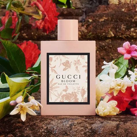 recensioni nuova fragranza gocce bloom gucci|Gucci Bloom Eau De Parfum Fragranza – Recensione.